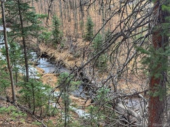 132 Aspen Acres, Rye, CO 81252