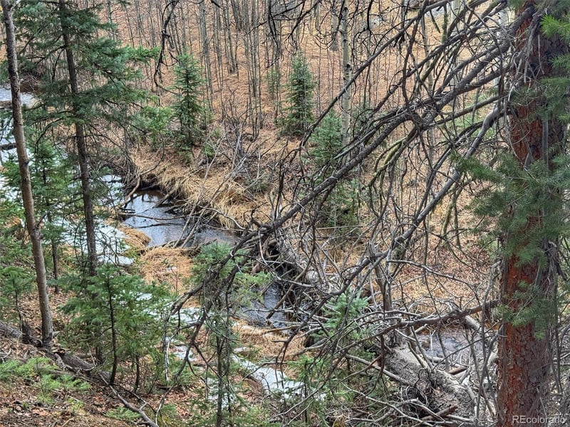 132 Aspen Acres, Rye, CO 81252