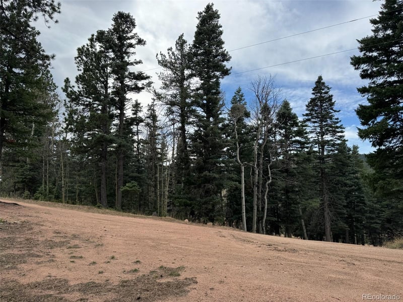 132 Aspen Acres, Rye, CO 81252