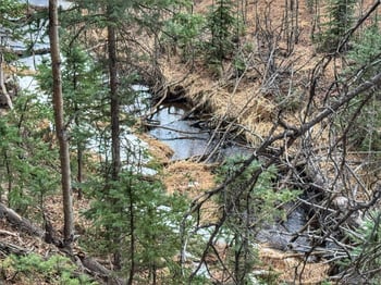 132 Aspen Acres, Rye, CO 81252