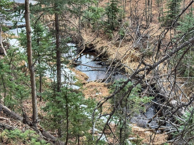 132 Aspen Acres, Rye, CO 81252