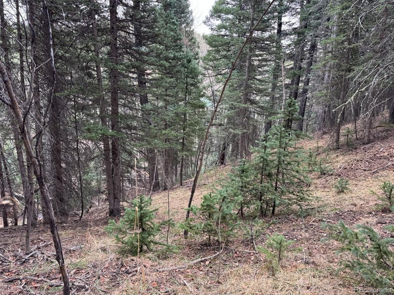 132 Aspen Acres, Rye, CO 81252