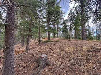 132 Aspen Acres, Rye, CO 81252