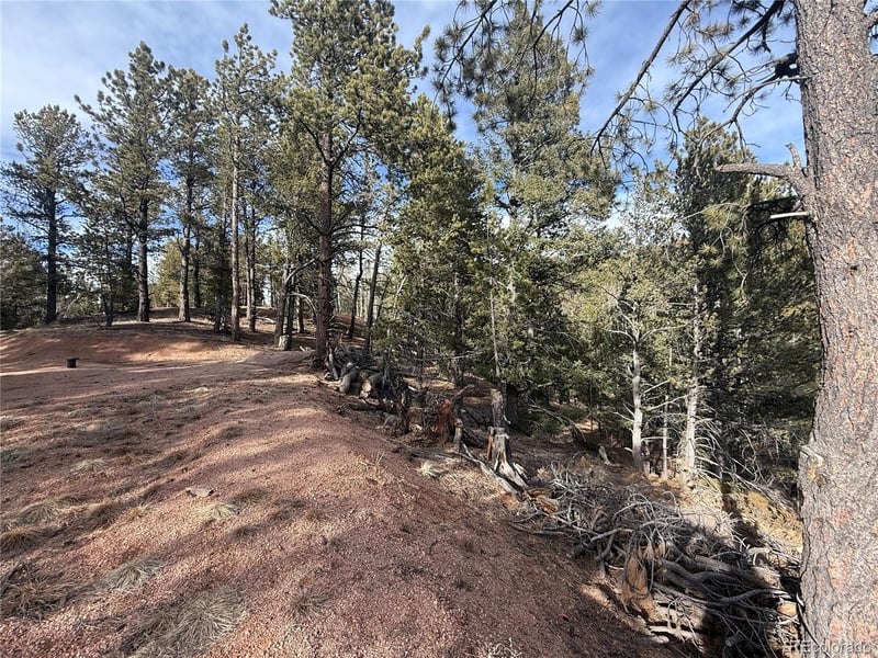 162 Eagle Dr, Divide, CO 80813