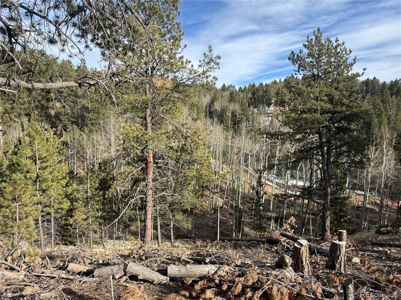 162 Eagle Dr, Divide, CO 80813