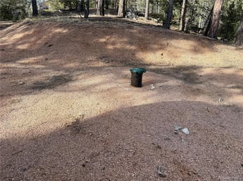 162 Eagle Dr, Divide, CO 80813