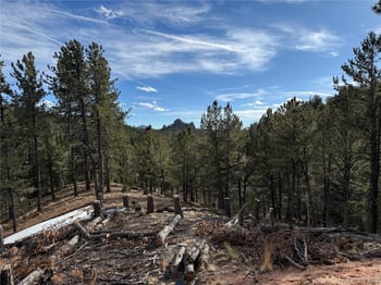 162 Eagle Dr, Divide, CO 80813