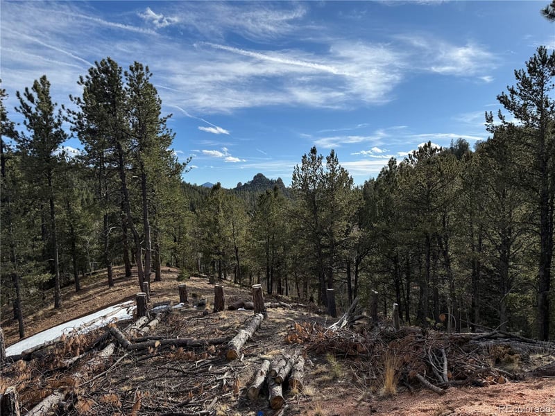 162 Eagle Dr, Divide, CO 80813