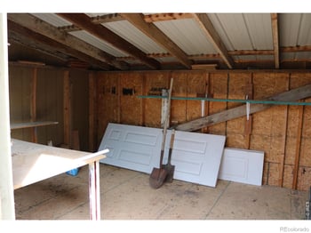 1005 Glacier Ct, Windsor, CO 80550