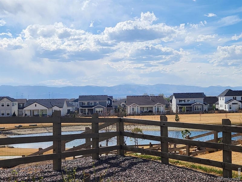 5531 Teeling Ct, Timnath, CO 80547