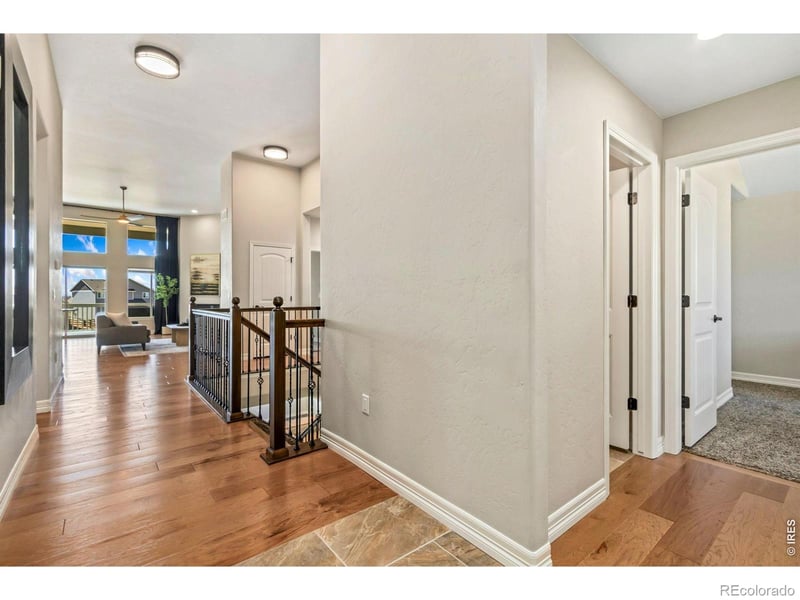 5531 Teeling Ct, Timnath, CO 80547