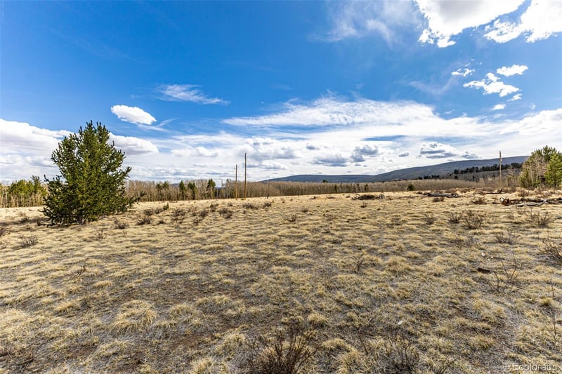 901 Bluestem Way, Fairplay, CO 80440