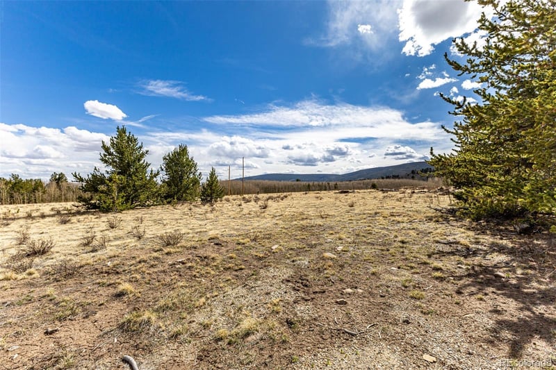 901 Bluestem Way, Fairplay, CO 80440