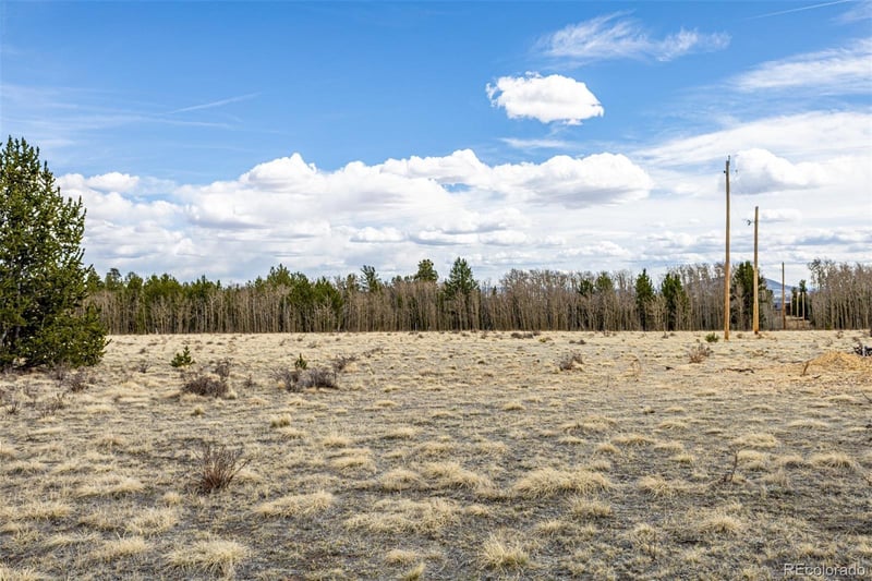 901 Bluestem Way, Fairplay, CO 80440