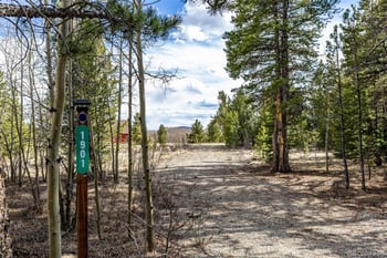 901 Bluestem Way, Fairplay, CO 80440