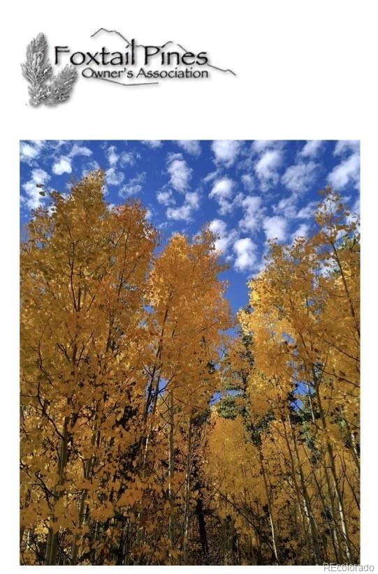 901 Bluestem Way, Fairplay, CO 80440