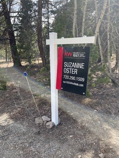 901 Bluestem Way, Fairplay, CO 80440