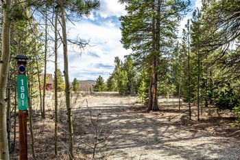 901 Bluestem Way, Fairplay, CO 80440