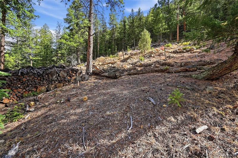 2238 Stanley Rd, Idaho Springs, CO 80452