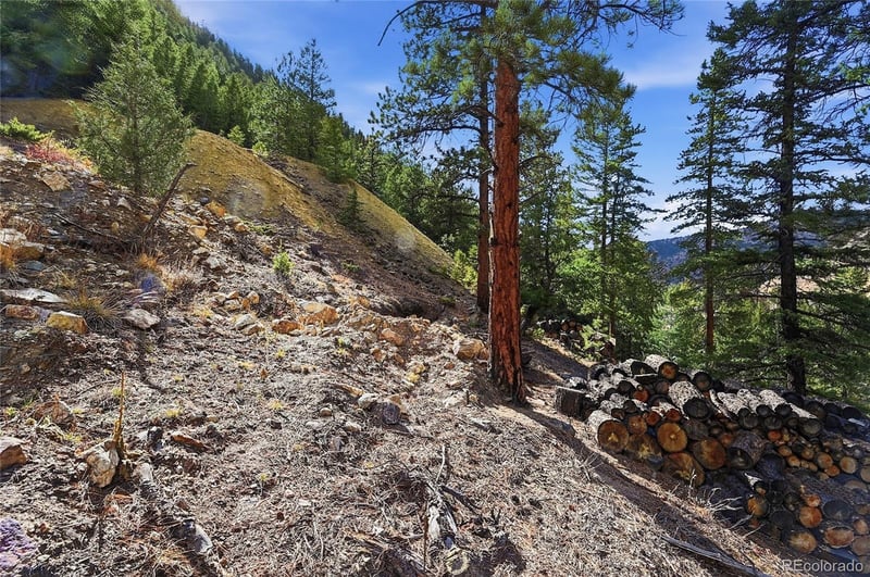 2238 Stanley Rd, Idaho Springs, CO 80452