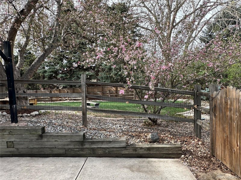 7313 Miller St, Littleton, CO 80127