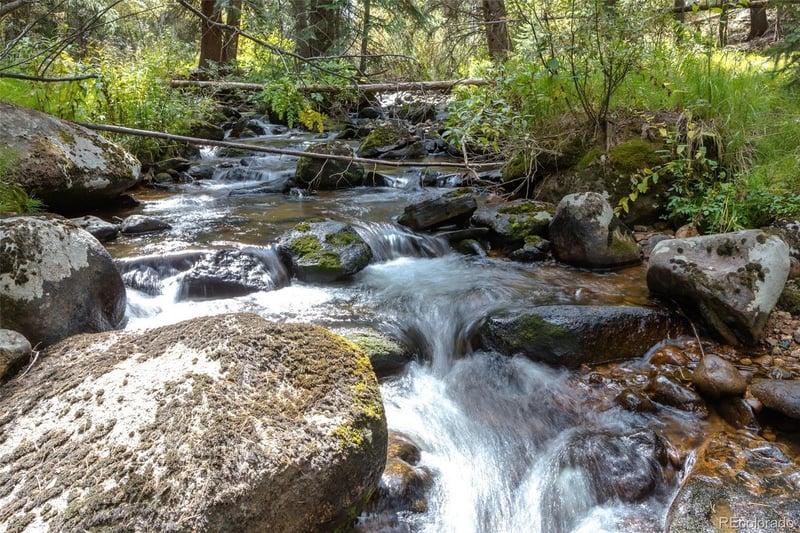 3648 County Road 8, Fraser, CO 80446