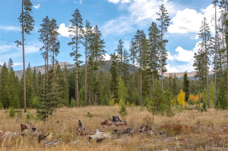 3648 County Road 8, Fraser, CO 80446