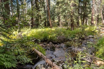 3648 County Road 8, Fraser, CO 80446