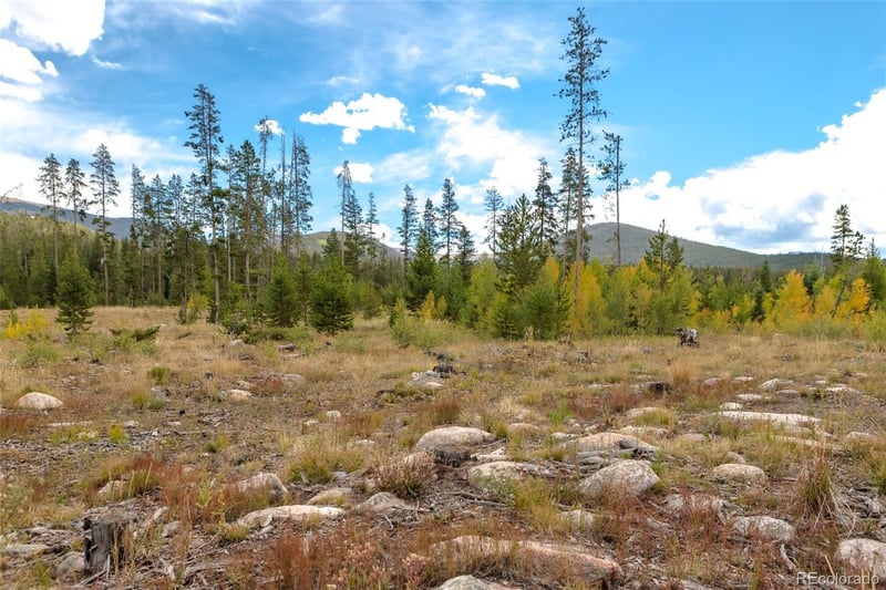 3648 County Road 8, Fraser, CO 80446