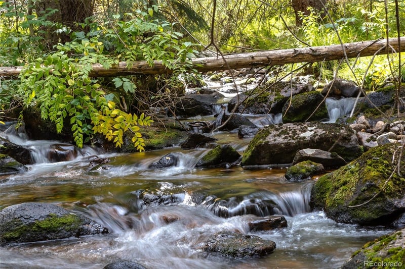 3648 County Road 8, Fraser, CO 80446