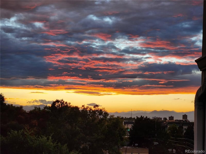 799 Dahlia St #601, Denver, CO 80220