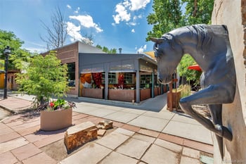 1210 Nova Pl, Erie, CO 80516