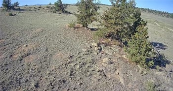 514 Walls St, Hartsel, CO 80449