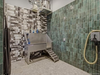 20 Wilcox St #315, Castle Rock, CO 80104