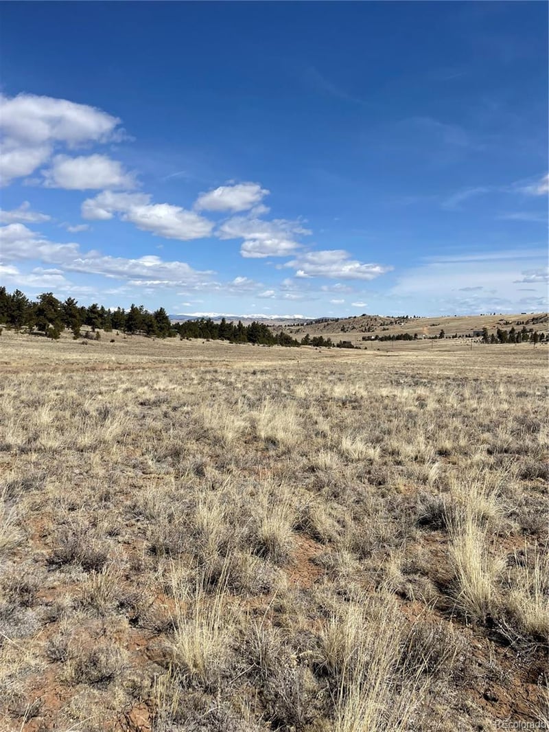 00 Guipago Trl, Hartsel, CO 80449