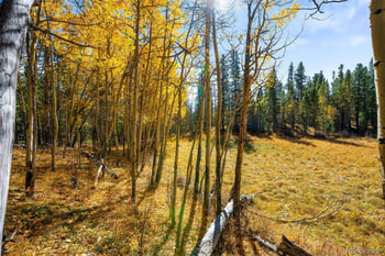 30 Serenity Ct, Fairplay, CO 80440