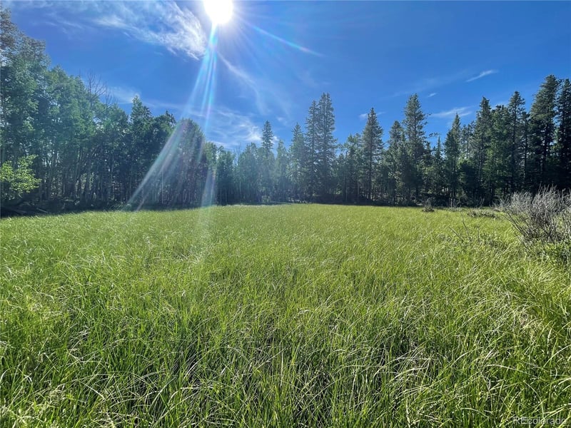 30 Serenity Ct, Fairplay, CO 80440