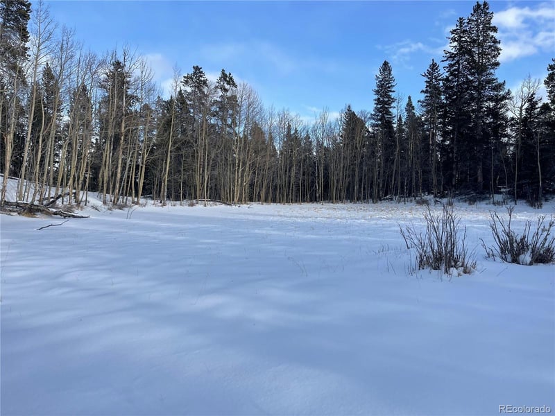 30 Serenity Ct, Fairplay, CO 80440