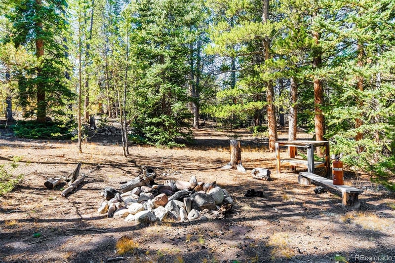 30 Serenity Ct, Fairplay, CO 80440