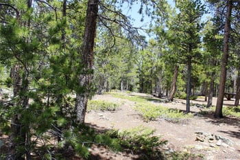 435 Aspen Rd, Black Hawk, CO 80422