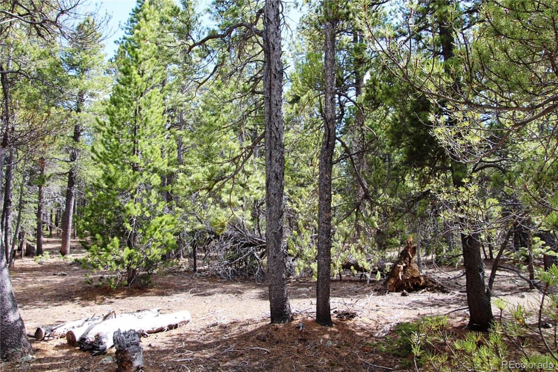 435 Aspen Rd Lot 117, Black Hawk, CO 80422