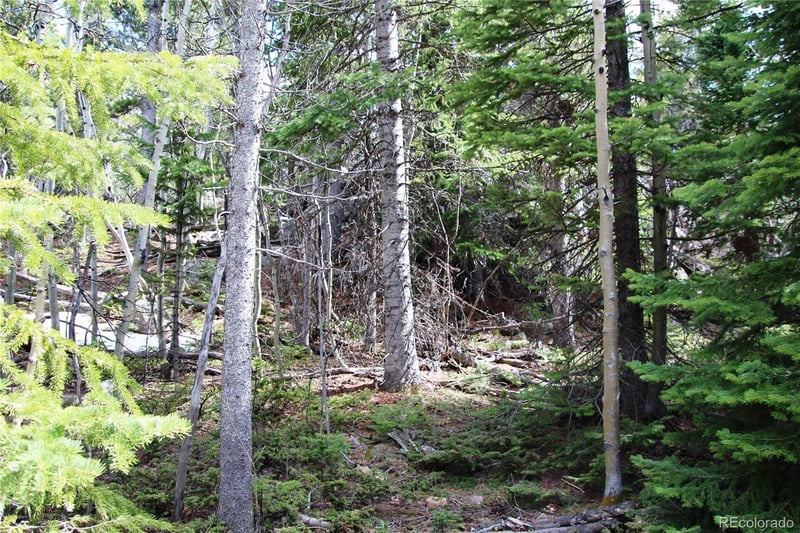 435 Aspen Rd Lot 117, Black Hawk, CO 80422