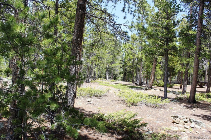 435 Aspen Rd Lot 117, Black Hawk, CO 80422