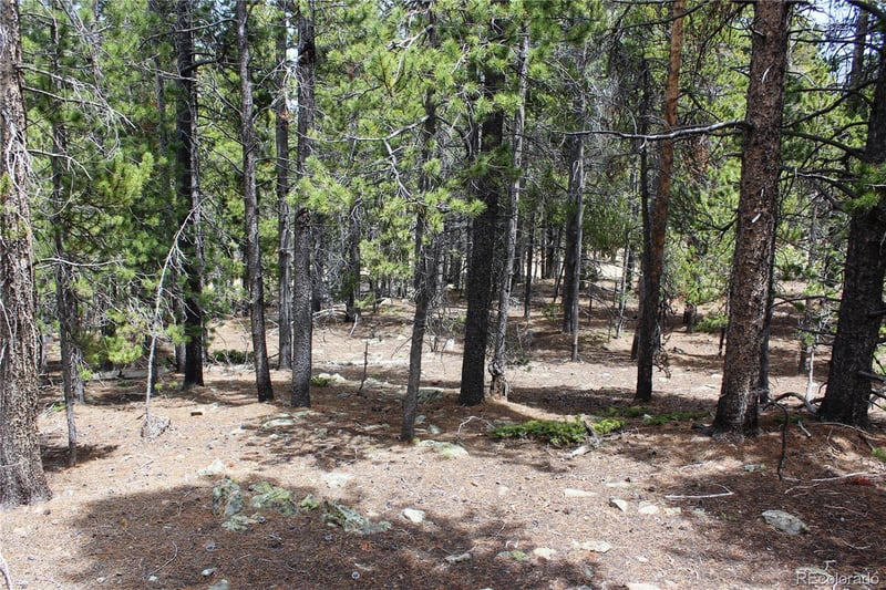 435 Aspen Rd Lot 117, Black Hawk, CO 80422