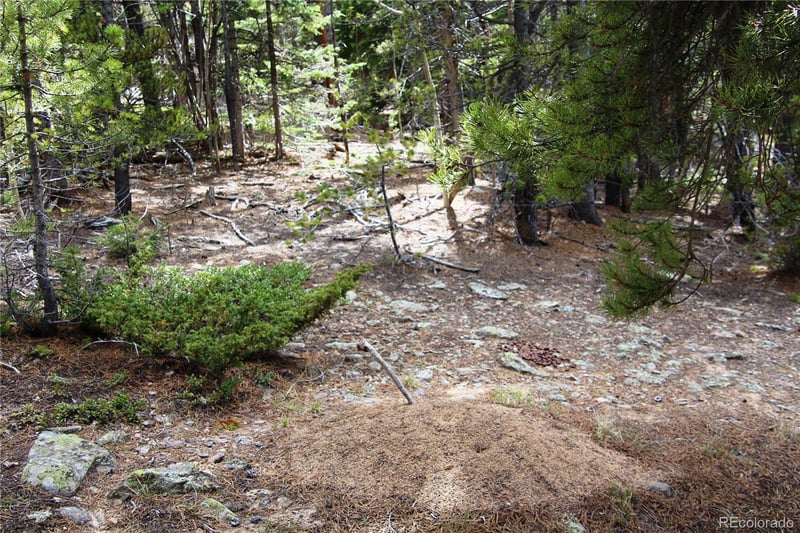 435 Aspen Rd Lot 117, Black Hawk, CO 80422