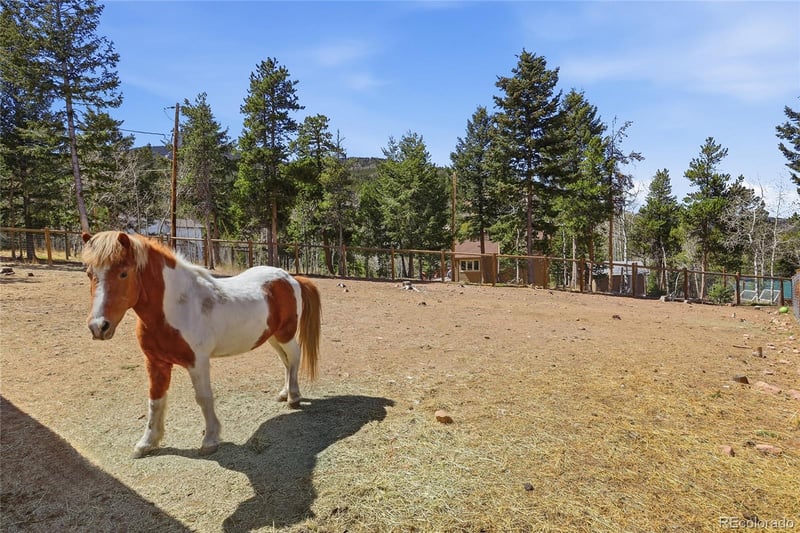 9225 Sandy Ln, Conifer, CO 80433