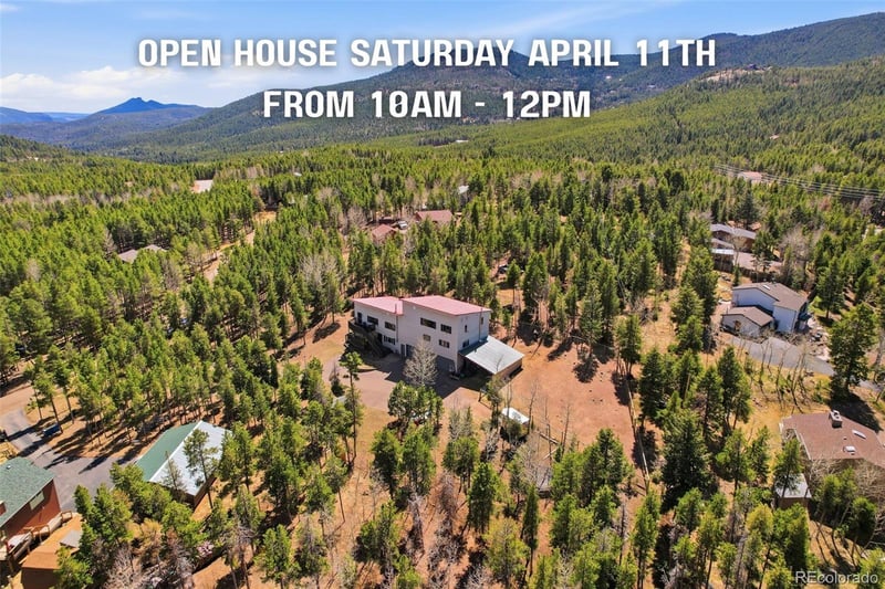 9225 Sandy Ln, Conifer, CO 80433