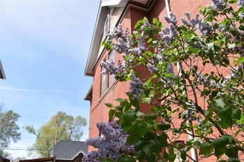 1707 Lake Ave, Pueblo, CO 81004