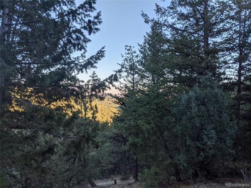 105 Millionaire Dr, Boulder, CO 80302