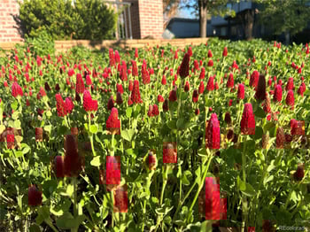 2401 Lafayette St, Denver, CO 80210